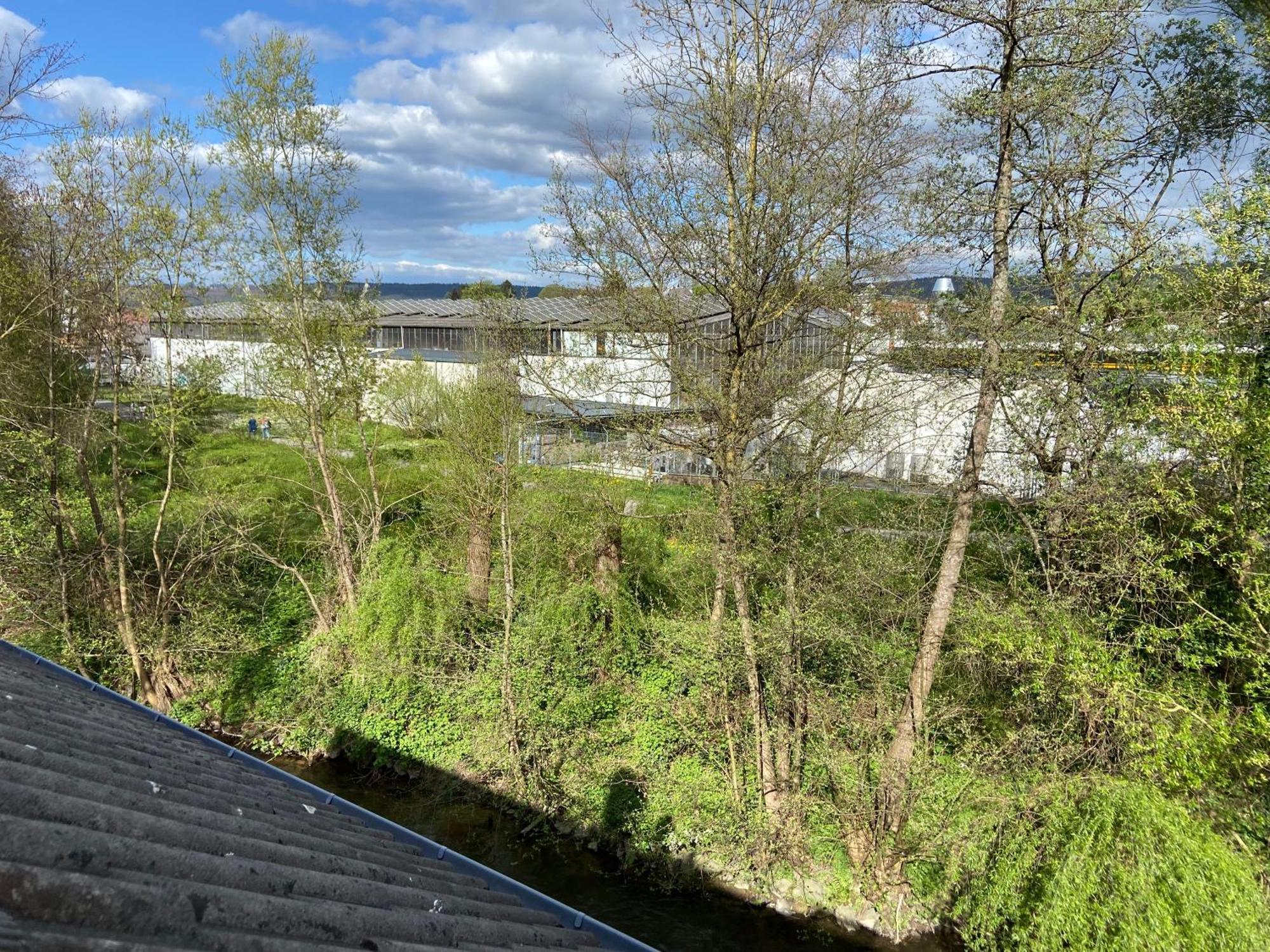 Ferienwohnung Am Erbacher Muemlingufer Erbach  Zewnętrze zdjęcie